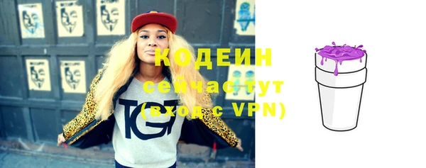 тгк Снежинск