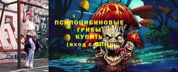 тгк Снежинск