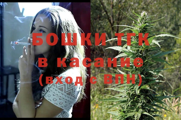 тгк Снежинск